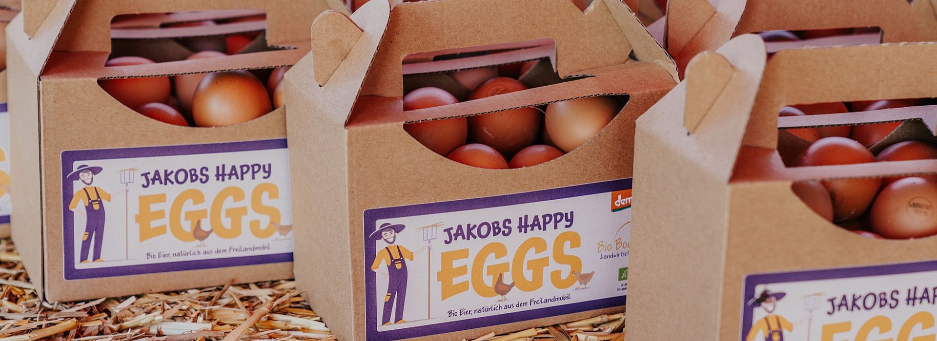 002--happy-eggs.jpg